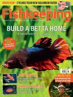 Practical Fishkeeping
